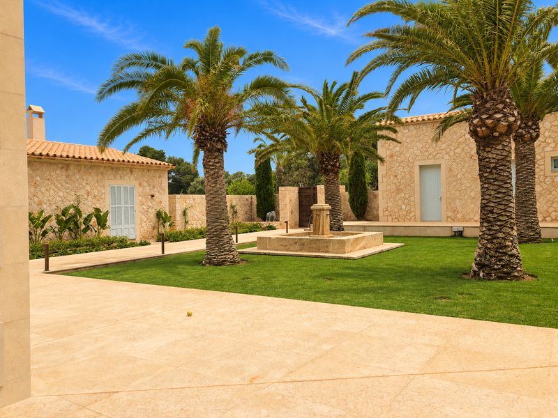 Patio con fuente y palmeras
